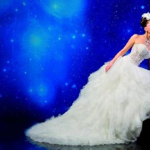 Свадебный дом "Инта" Свадебный дом "Инта"