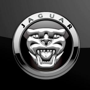 Весільний кортеж JAGUAR Автомобільний кортеж на весілля