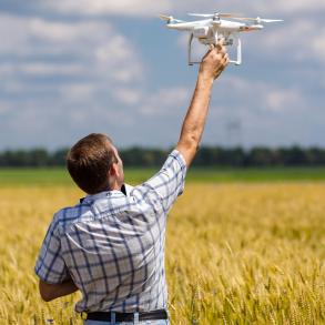 Палий Николай Палий Николай