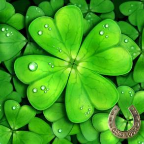 Студія "Good Luck" Видеооператор на свадьбу