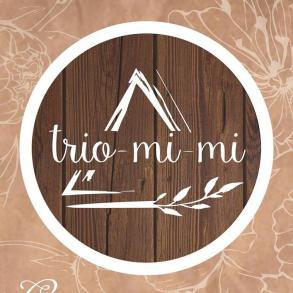 Студия декора Trio-mi-mi Оформление Но Декор на вашу свадьбу