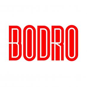 BODRO ARTISTS AGENCY Весільні Агенції на ваше весілля