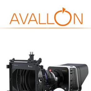 Avallon Фотограф на свадьбу