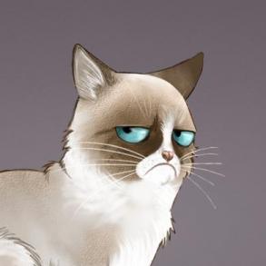 Kotyk Фотограф на весілля