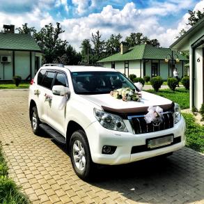 Авто на весілля Чернівці Автомобільний кортеж на весілля