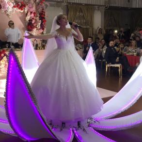 Ростова квітка/раскрывающийся Лотос Ефекти на ваше весілля