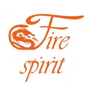 Театр огня и света Fire Spirit Шоу та розваги на ваше весілля