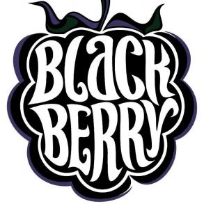 BlackBerry Cover Band Музыкальные Группы на вашу свадьбу