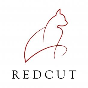 RedCut відео та фото Відеооператор на весілля