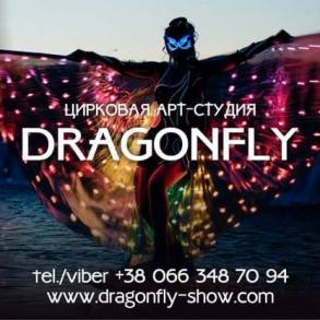 Шоу Dragonfly Шоу та розваги на ваше весілля