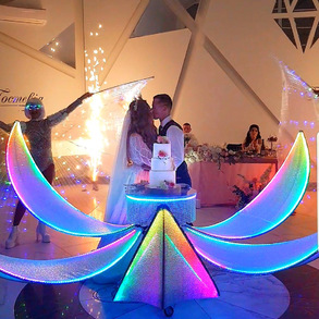 "ТОРТ у КВІТЦІ" - Світлодіодне ШОУ Шоу и развлечения на вашей свадьбе