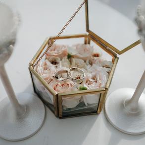 Ведуча Вікторія Шац | Ведучий Київ Ведучі на весілля