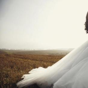 DreamVideo DreamVideo