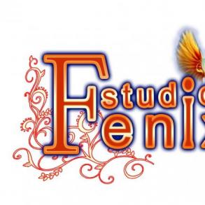 FenixStudio Відеооператор на весілля