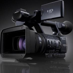 GoldBee - Studio GoldBee - Studio