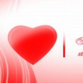 Happy_Day_studio Happy_Day_studio