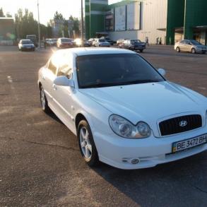 Hyundai Sonata белая Автомобильный кортеж на свадьбу