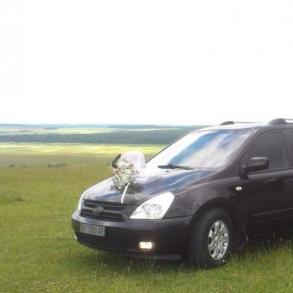 Kia Carnival Автомобільний кортеж на весілля