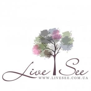LiveSee - свадебная и семейная видеосъемка