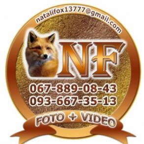 NF Фотограф на свадьбу