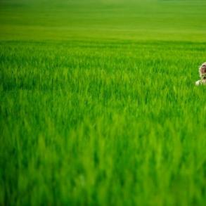 ROMAN ZOLOTUKHIN PHOTOGRAPHER ROMAN ZOLOTUKHIN PHOTOGRAPHER