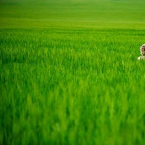 Фотограф на весілля