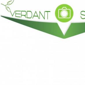 VERDANT Studio VERDANT Studio