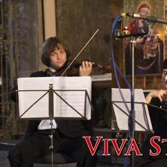 Viva String Quartet