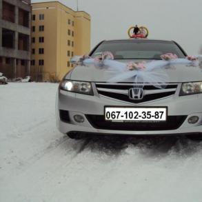 Win32 Автомобильный кортеж на свадьбу