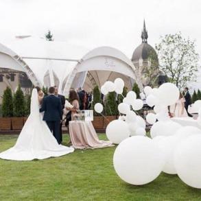 Повітряні кульки Art West Аксесуари на ваше весілля