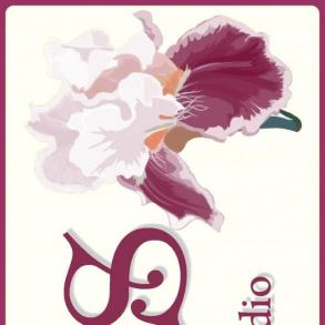 IRIS ArtDecorStudio Аксесуари на ваше весілля