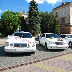 Автокортеж "Mercedes W210" (0672875113) Автомобільний кортеж на весілля