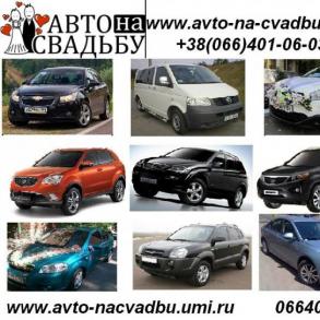 автомобили на свадьбу в Полтаве Автомобильный кортеж на свадьбу