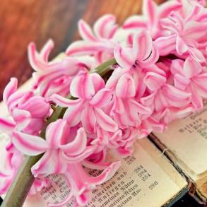 Exclusive Poem - Ексклюзивні весільні вітання! Exclusive Poem - Ексклюзивні весільні вітання!