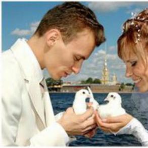 Голуби на свадьбу Голуби на свадьбу