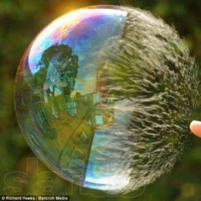 Максим Шоу и развлечения на вашей свадьбе