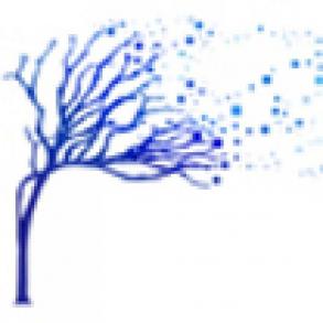 MPX Wedding MPX Wedding