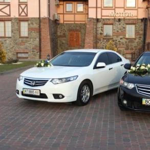 Весільний кортеж Honda Accord(чорна і біла) Автомобільний кортеж на весілля