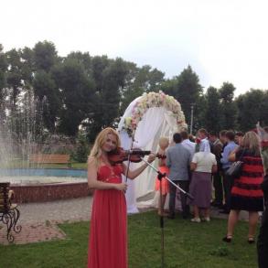 Скрипка выездная свадебная церемония