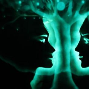 студия Art for Show Шоу та розваги на ваше весілля