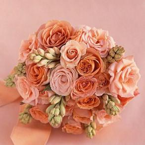 Студия декора Студия декора