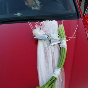 СТУДИЯ ФЛОРИСТИКИ АРТ-ХАУС СТУДИЯ ФЛОРИСТИКИ АРТ-ХАУС