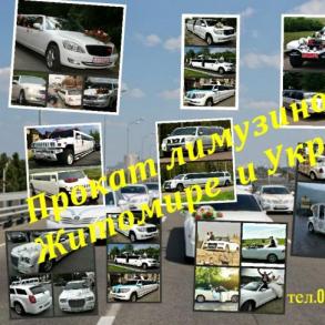 Прокат лимузинов в Житомире - tel. 093-655-1-655