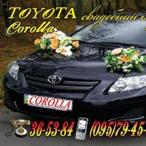 Свадебный кортеж "Toyota Corolla" - (Сумы) Свадебный кортеж "Toyota Corolla" - (Сумы)