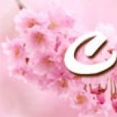 Святкова агенція «САКУРА» Весільні Агенції на ваше весілля