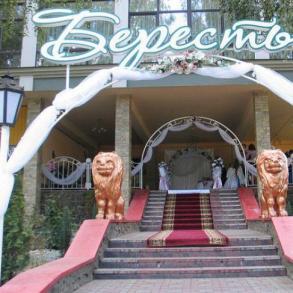 СВЯТКОВА ФЕЄРІЯ(агенція) СВЯТКОВА ФЕЄРІЯ(агенція)