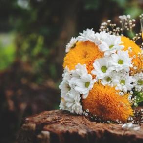 Татьяна Колюка Фотограф на свадьбу