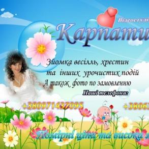 v.s.karpaty@mail.ru v.s.karpaty@mail.ru