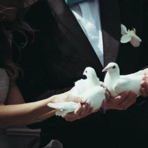 Весільна церемонія Весільна церемонія