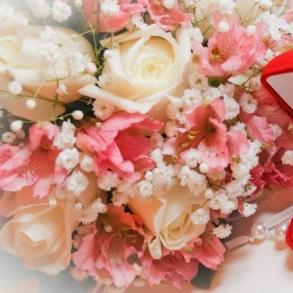 Відеостудія Софія Відеостудія Софія